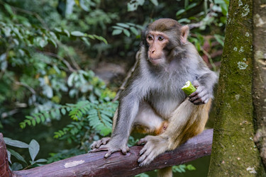 Similar image 22475340