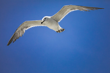 Similar image 22431612