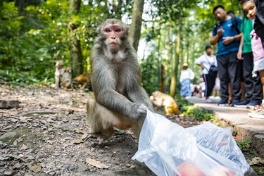 Similar image 22475549