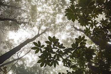 Similar image 22475556