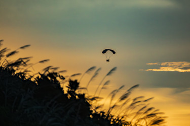 Similar image 22475562