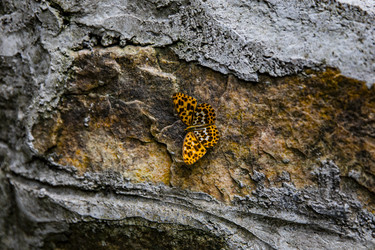 Similar image 22475563