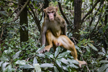 Similar image 22475565