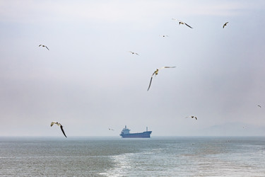 Similar image 22431617