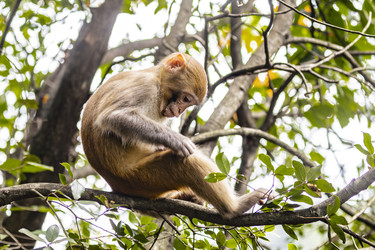 Similar image 22475567