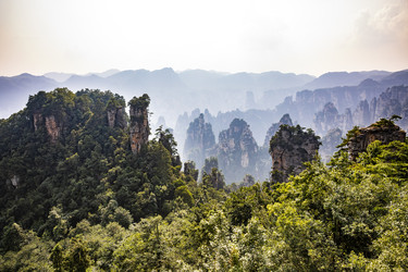 Similar image 22475569