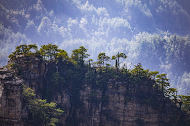 Similar image 22475570