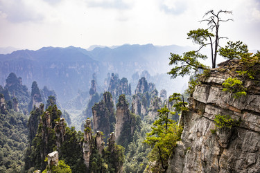 Similar image 22475572