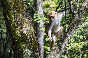 Similar image 22475195