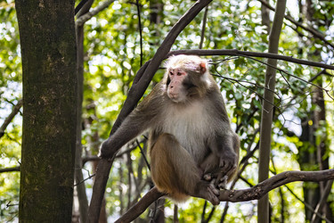 Similar image 22475198