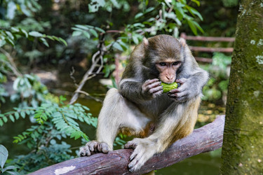 Similar image 22475199