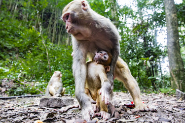 Similar image 22475203