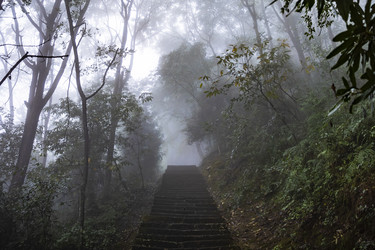 Similar image 22475213