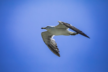 Similar image 22431621