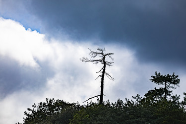 Similar image 22475216