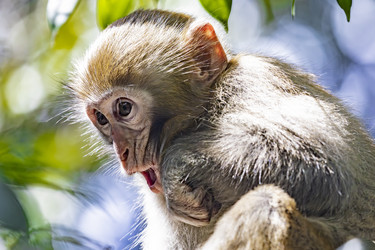 Similar image 22475217