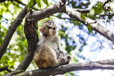 Similar image 22475218