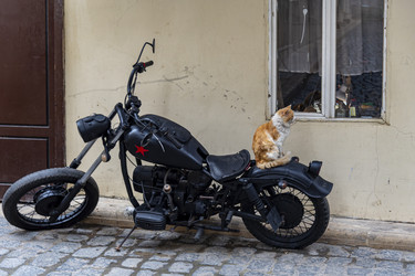 Similar image 22452551