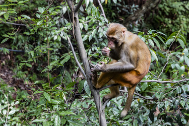 Similar image 22475219