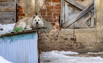 Similar image 22452555