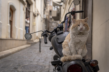 Similar image 22452556