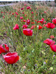 Similar image 22452561