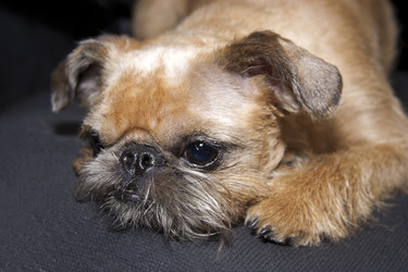 Similar image 22439862