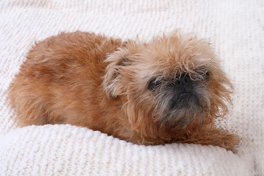 Similar image 22439869