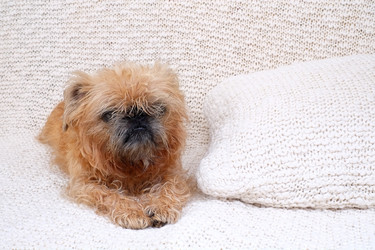 Similar image 22439888