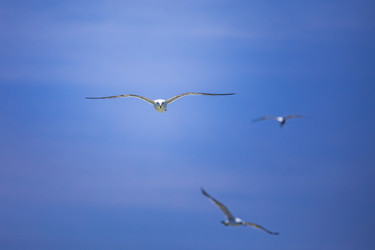 Similar image 22431633