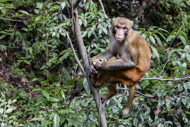 Similar image 22475354