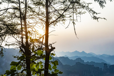 Similar image 22475557