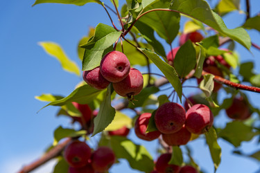 Similar image 22442453