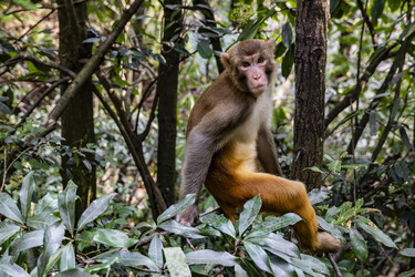 Similar image 22475560