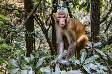 Similar image 22475577