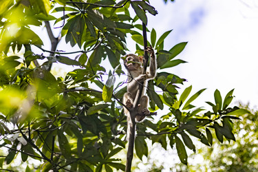 Similar image 22475579