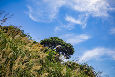 Similar image 22475582