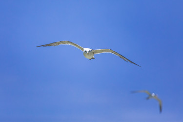 Similar image 22431635