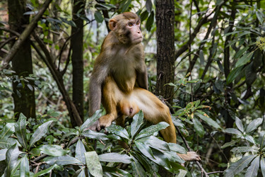 Similar image 22475585