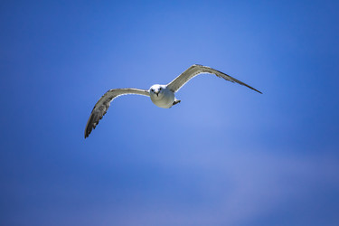 Similar image 22431636