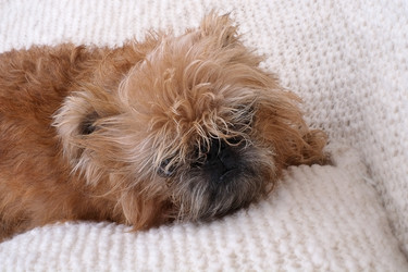 Similar image 22439926