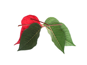 Similar image 22439928