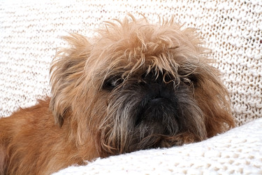 Similar image 22439948