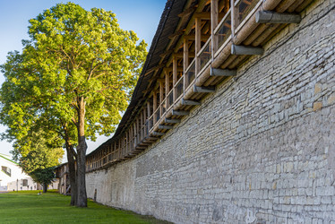 Similar image 22440495