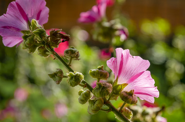 Similar image 22440498