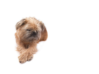 Similar image 22444153