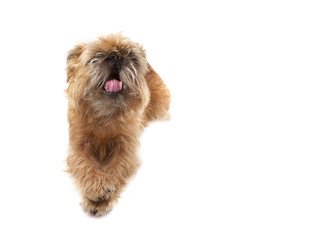 Similar image 22444201