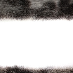 Similar image 22440124