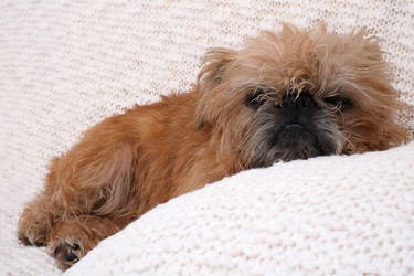 Similar image 22444290