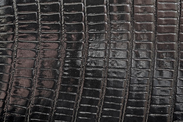 Similar image 22444308